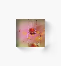 Glasses of Truth Acrylic Block