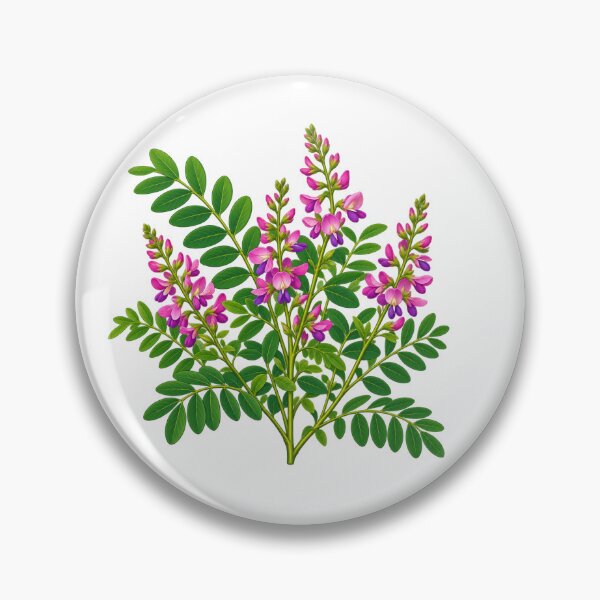 Item preview, Indigo Plant - Indigofera tinctoria Pink Purple Botanical Flowers designed and sold by Myra365Art.
