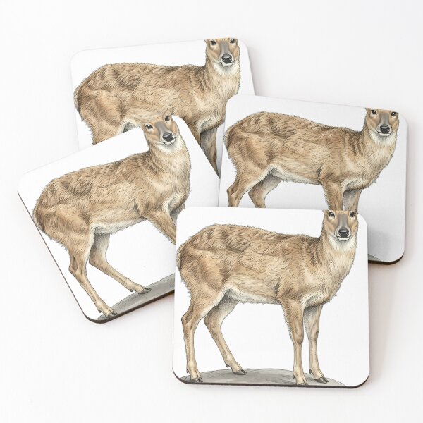 Item preview, Vintage Naturalist Chinese Water Deer - Antique Winter Deer Art designed and sold by Catch333.