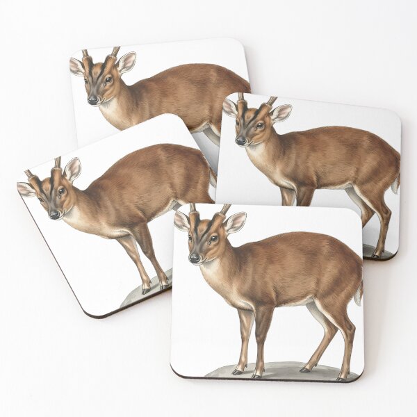 Item preview, Vintage Naturalist Chinese Muntjac - Antique Winter Deer Art designed and sold by Catch333.