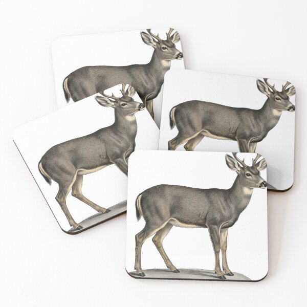 Item preview, Vintage Naturalist Columbian Black Tailed Deer - Antique Deer Art designed and sold by Catch333.