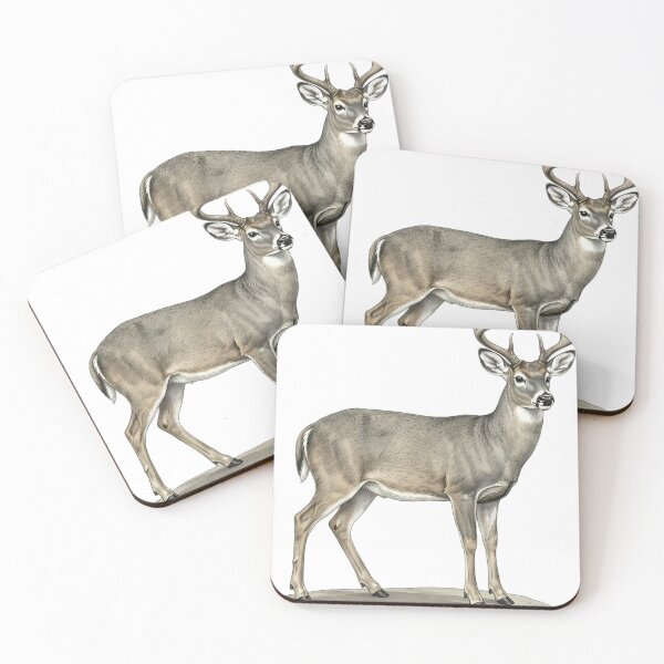 Item preview, Vintage Naturalist Coues White Tailed Deer - Antique Deer Print designed and sold by Catch333.