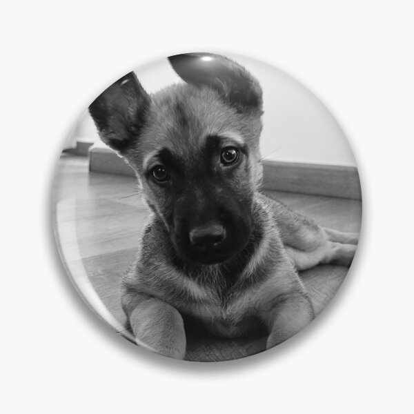Item preview, Pure Sweetness in Her Eyes designed and sold by raksha-malinois.