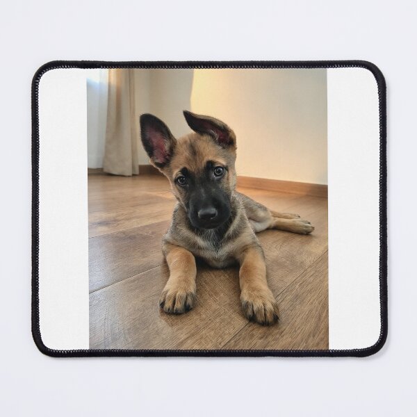 Item preview, Pure Sweetness in Her Eyes designed and sold by raksha-malinois.