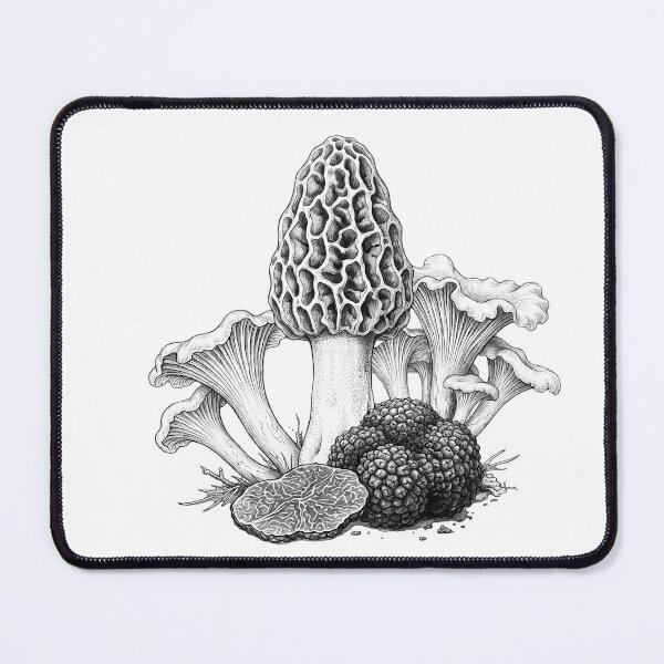 Item preview, Wild Edible Mushrooms Botanical Pencil Sketch designed and sold by Digital Duniyah.