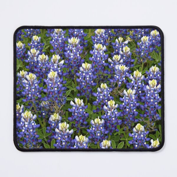 Item preview, Texas Bluebonnets Across the Canvas — Blue and White Spikes designed and sold by Stevercortinas.