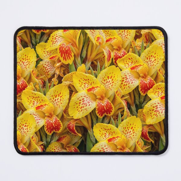 Item preview, Cannas Across the Canvas — Yellow Cannas with Red Spots designed and sold by Stevercortinas.