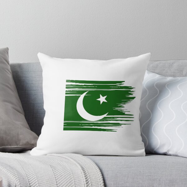 Aperçu de l'œuvre Drapeau du Pakistan en mauvais état (PK) créée et vendue par shitpostee.