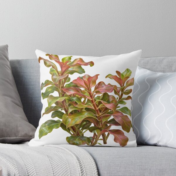 Item preview, Rotala Macrandra Japan Botanical Oil Painting designed and sold by Ocelot-T.