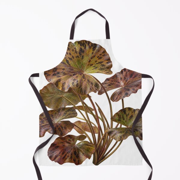 Item preview, Retrato botánico de Nymphaea lotus Tiger Lotus designed and sold by Ocelot-T.