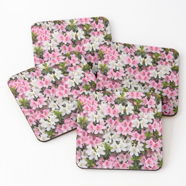 Item preview, Azaleas Across the Canvas — Pink and White Azalea Blooms designed and sold by Stevercortinas.