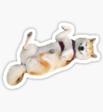 Pegatina Chillin shibe