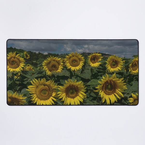 Item preview, Golden Sunflowers Under Dramatic Summer Clouds designed and sold by AngelusH.