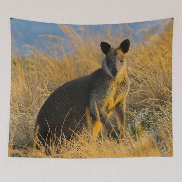 Item preview, Swamp Wallaby Phillip Island designed and sold by jdrphotos.