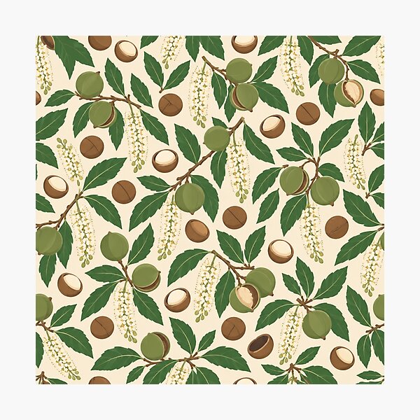 Item preview, Macadamia Pattern | Australian Nuts, Husks, Blossom and Leaves Botanical Scatter designed and sold by StickyGuys.