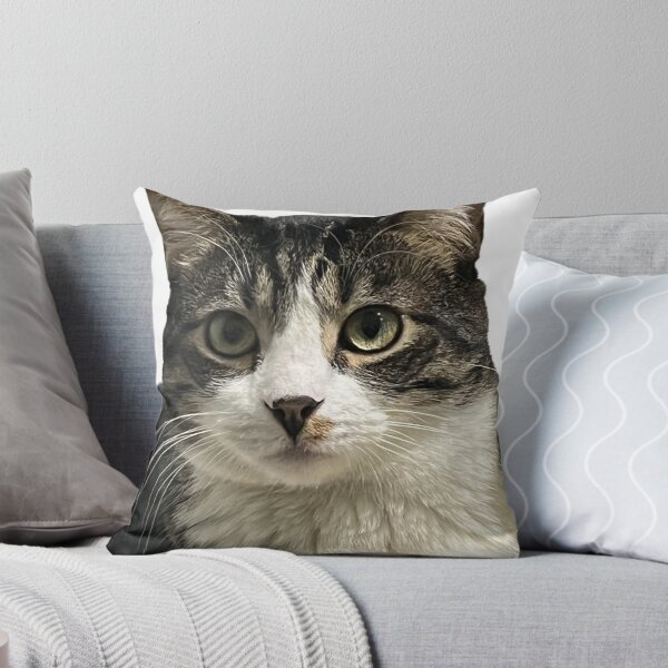 Item preview, • Cute Tabby Cat Face Portrait Loki (Cute portrait of Loki the tabby cat) designed and sold by BotanicalCatS.