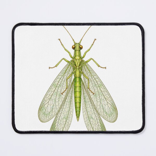 Item preview, Green Lacewing Entomology Illustration designed and sold by Drip stamp.