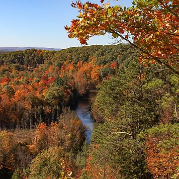 Artwork thumbnail, Fall trees by OneCreativePup