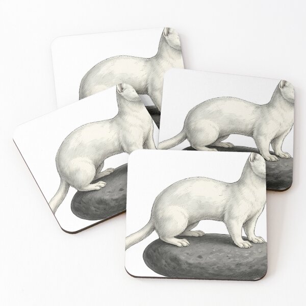 Item preview, Vintage Naturalist Mountain Weasel - Antique Winter Wildlife Art designed and sold by Catch333.