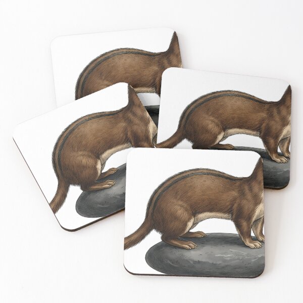 Item preview, Vintage Naturalist Back Striped Weasel - Winter Wildlife Print designed and sold by Catch333.