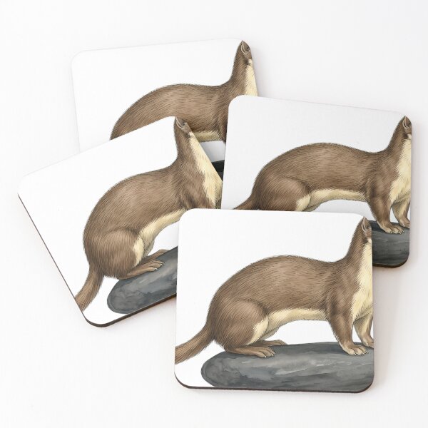 Item preview, Vintage Naturalist Yellow Bellied Weasel - Winter Wildlife Art designed and sold by Catch333.