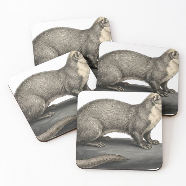 Item preview, Vintage Naturalist Patagonian Weasel - Antique Winter Wildlife Print designed and sold by Catch333.
