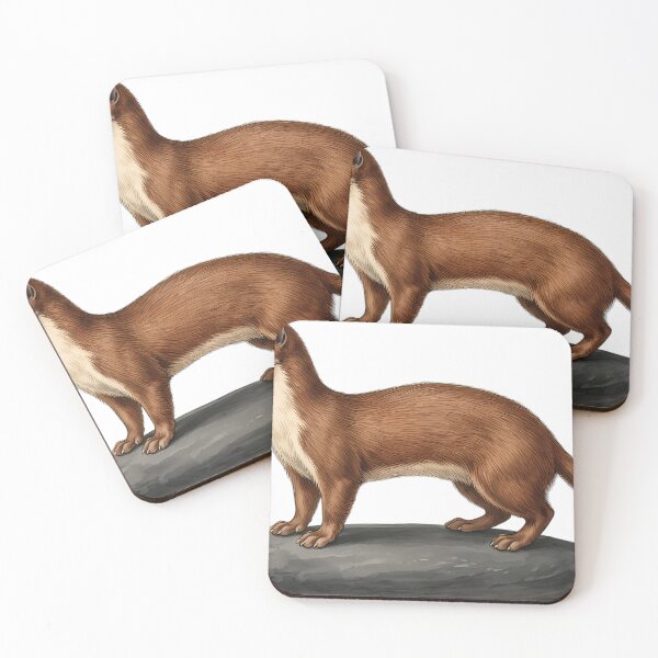 Item preview, Vintage Naturalist Amazon Weasel - Antique Winter Wildlife Art designed and sold by Catch333.