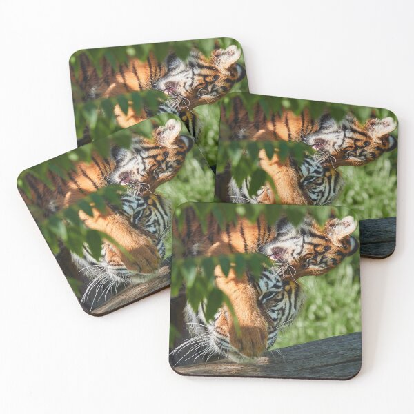 Item preview, The Look Says It All designed and sold by Eidetic Photos.