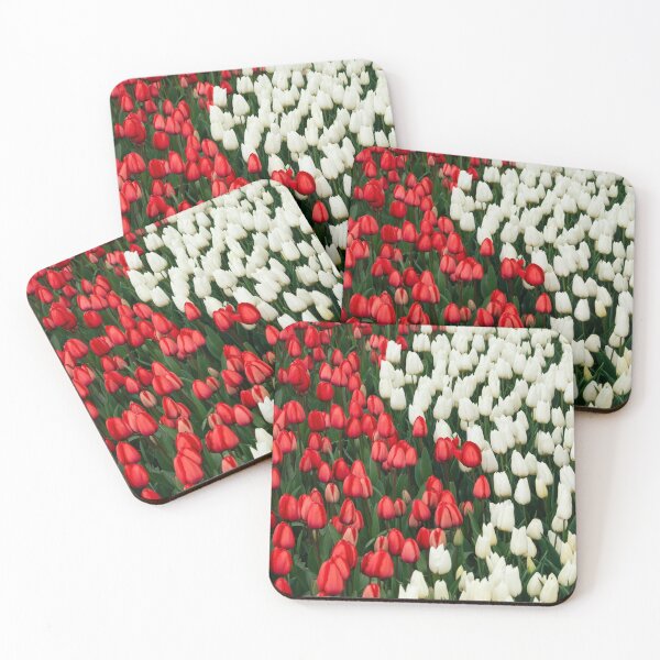 Item preview, Red and White Tulip Flower Beds – Colourful Spring Garden Photography designed and sold by ThatSurreyLife.