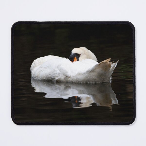 Item preview, White Mute Swan (Cygnus olor) designed and sold by Stephen Jarman.