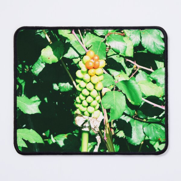 Item preview, Exotic designed and sold by ART22.