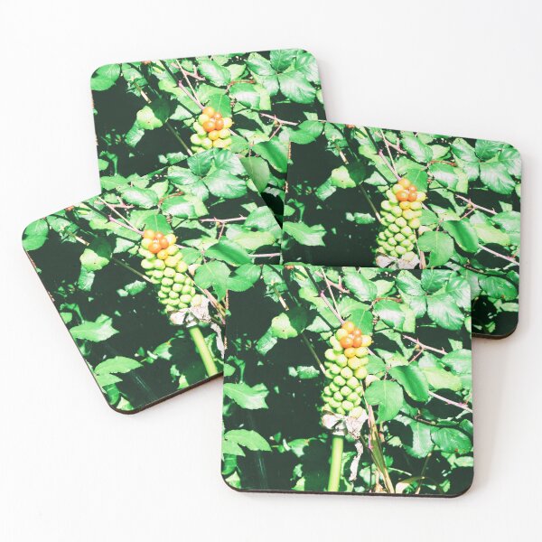Item preview, Exotic designed and sold by ART22.