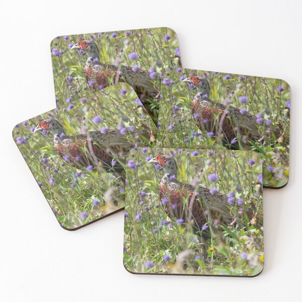 Item preview, Male ring necked pheasant (Phasianus colchicus) among flowers designed and sold by Stephen Jarman.