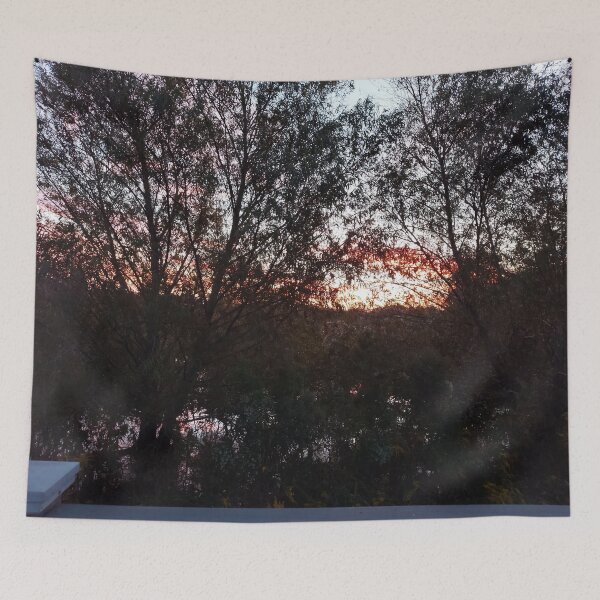 Item preview, Sunrise Through the Trees  designed and sold by Emily Macafore.