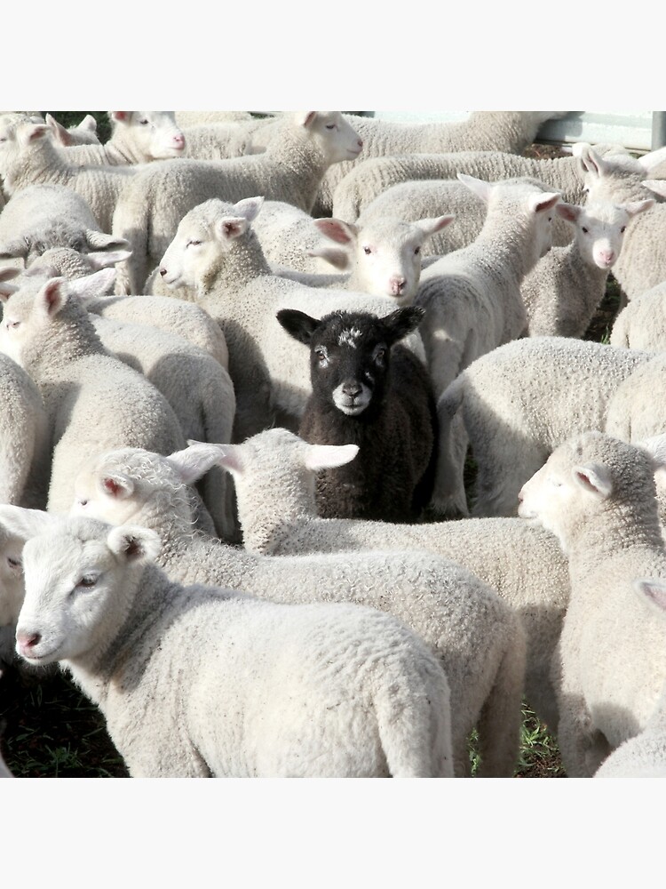 Stand Out From The Crowd by livelifecamp