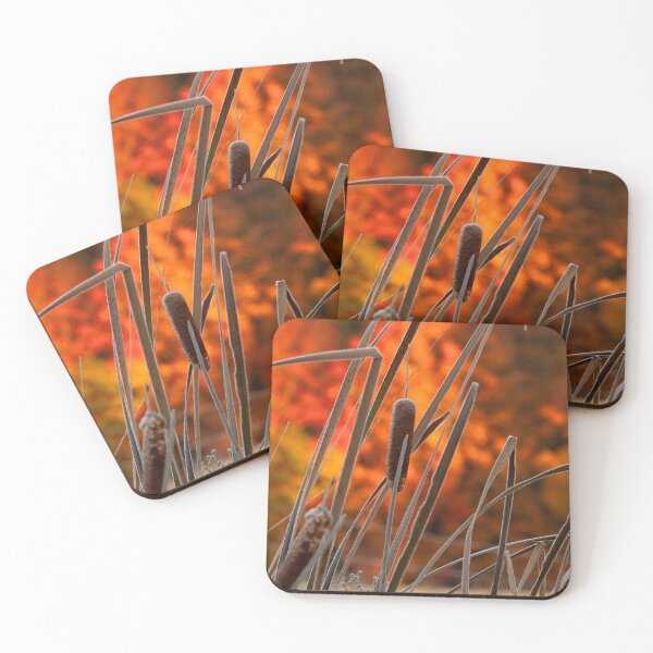 Item preview, Autumn Cattails in Morning Light designed and sold by KoovsPhotos.