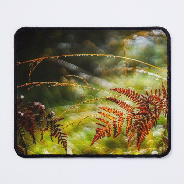 Item preview, Helechos Otoñales Bokeh Fotografía designed and sold by Nasiyabillhorn.