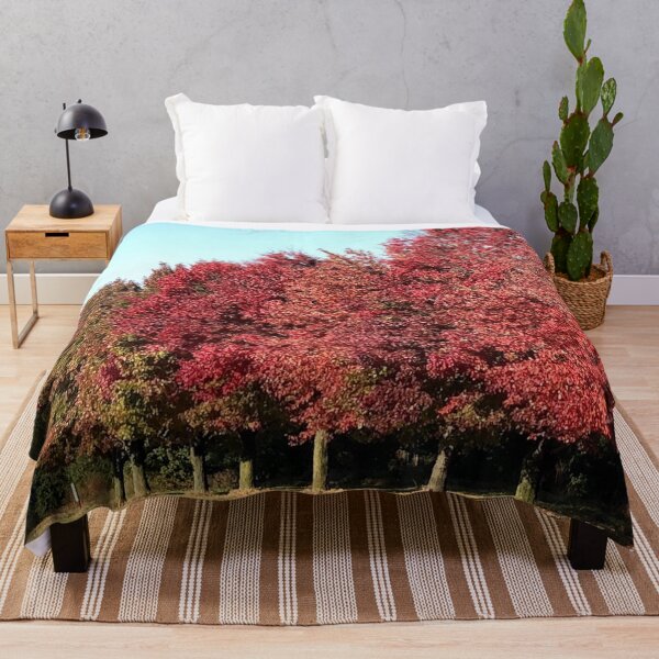 Item preview, Red Maples, no filter photograph designed and sold by GiSilver.