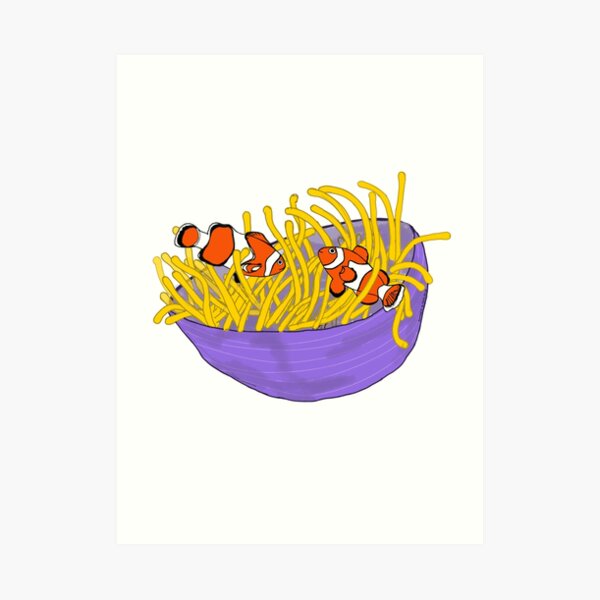 Anemonefish Art Print