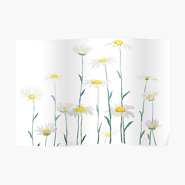 white daisy branch watercolor horizontal Poster
