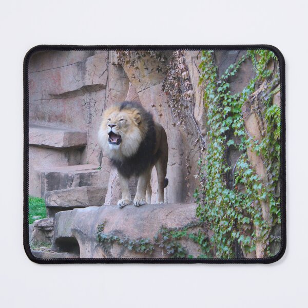 Item preview, Lion Yawn designed and sold by Creek Nymph Photography.