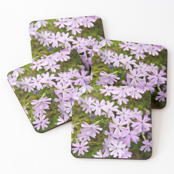 Item preview, Beautiful Light Pink Creeping Phlox Flowers in Full Bloom designed and sold by celinebisson.