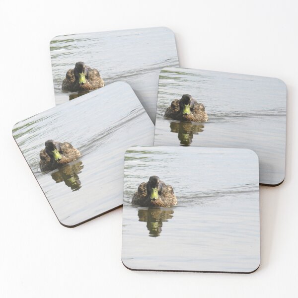 Item preview, Mallard Duck Swimming Toward Camera with Reflection in Calm Water designed and sold by celinebisson.