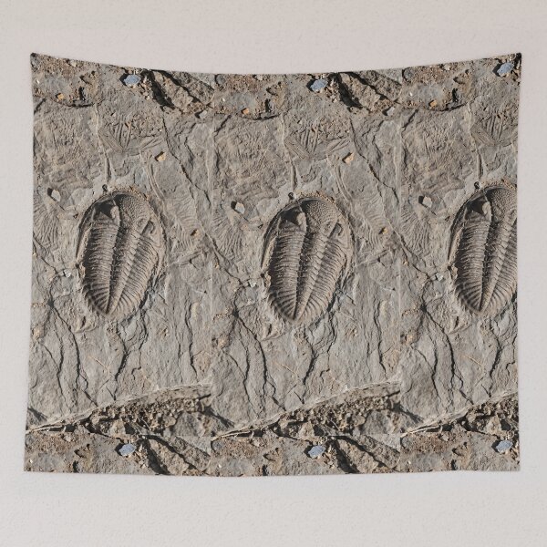 Item preview, Trilobite Fossil Ancient Sea Creature 2 designed and sold by TTERRA.