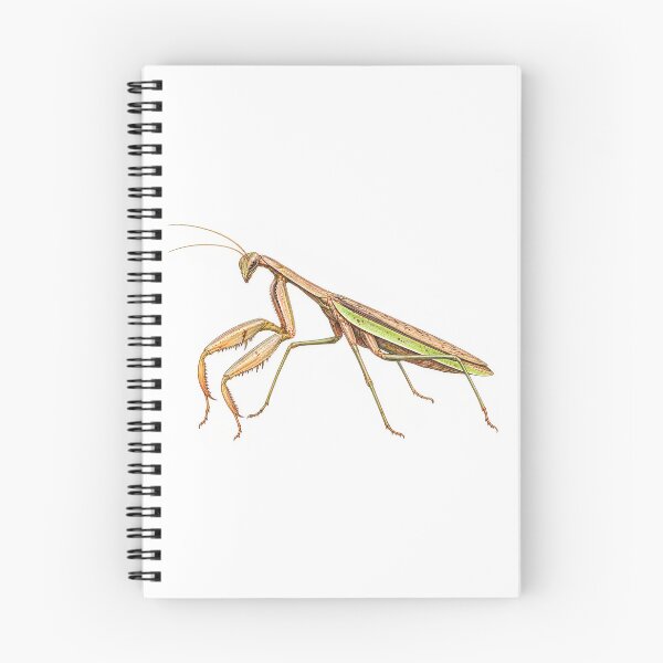 Item preview, Autumn mantis designed and sold by Ourhappyplaces.