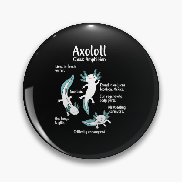 Item preview, Axolotl Facts Educational Amphibian Science Design designed and sold by MiALopezArt.