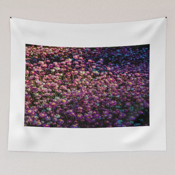 Item preview, Paddock of Straw Flowers designed and sold by photograham.