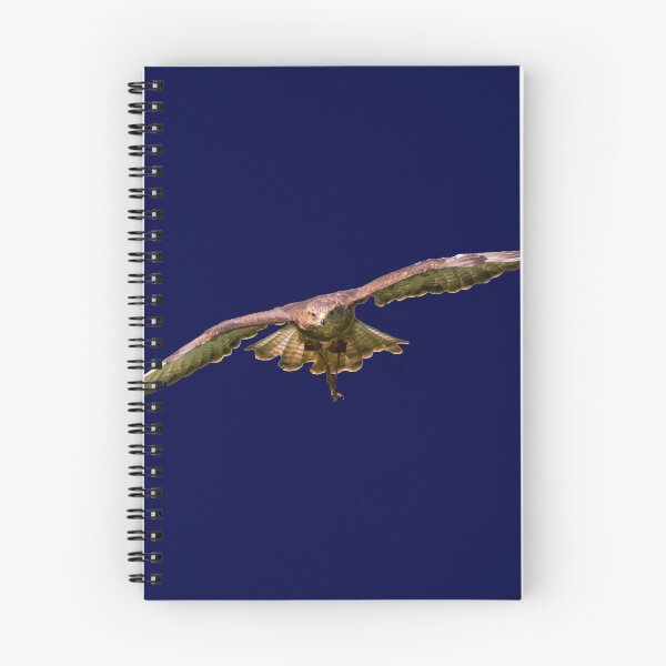 Item preview, Merlin the Common Buzzard designed and sold by CasualGoshawk.