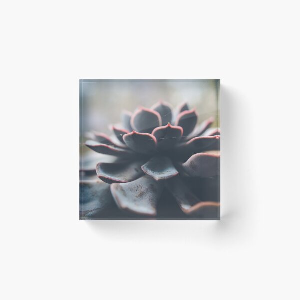 Item preview, Alien Flora designed and sold by sononek0.