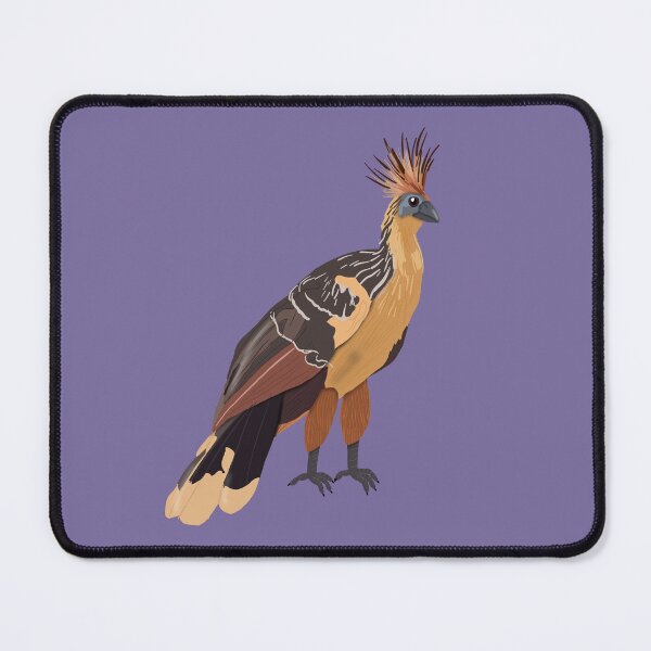 Item preview, Hoatzin designed and sold by BDBirds.